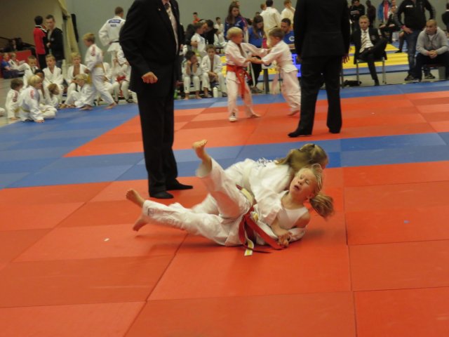 Open Ommer judokampioenschappen 7 november 2015